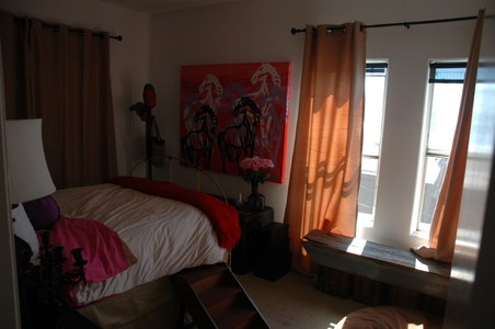 Enlarge photo 62