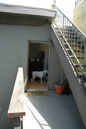 Enlarge photo 4
