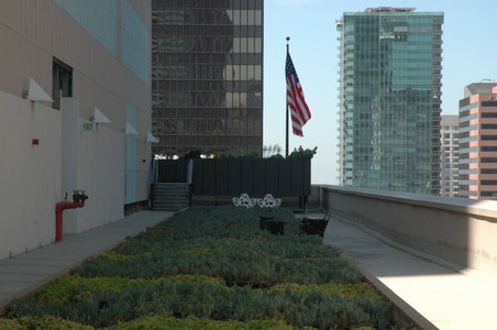 Enlarge photo 18