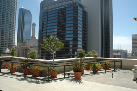 Enlarge photo 30