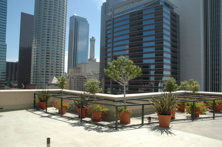 Enlarge photo 31