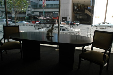 Enlarge photo 89