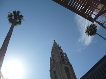 Enlarge photo 31