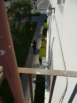 Enlarge photo 33