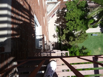 Enlarge photo 45