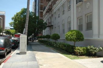 Enlarge photo 37