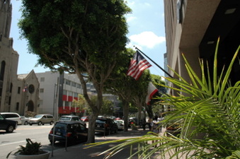 Enlarge photo 54