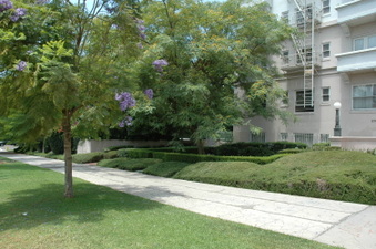 Enlarge photo 30