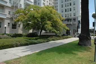 Enlarge photo 31