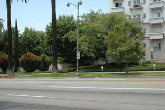 Enlarge photo 41