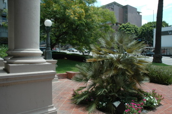 Enlarge photo 55