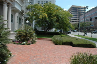 Enlarge photo 59