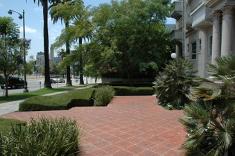 Enlarge photo 62