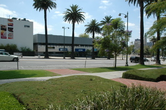 Enlarge photo 63