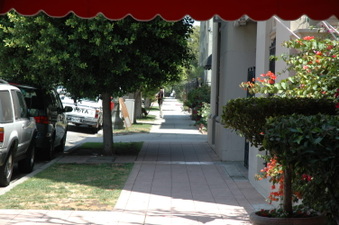 Enlarge photo 40