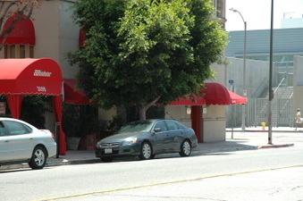 Enlarge photo 46