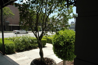 Enlarge photo 21