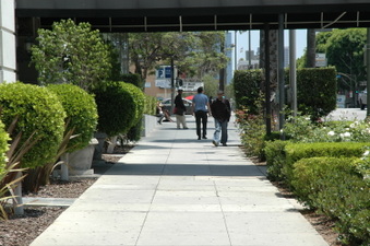 Enlarge photo 25
