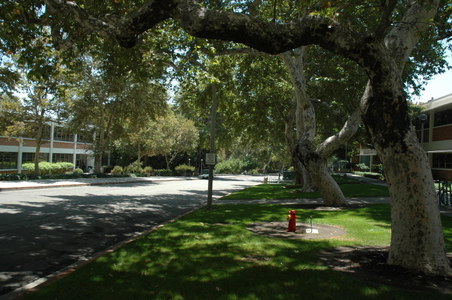 Enlarge photo 18