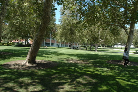 Enlarge photo 28