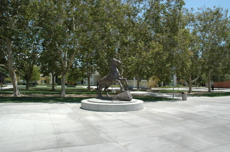 Enlarge photo 34