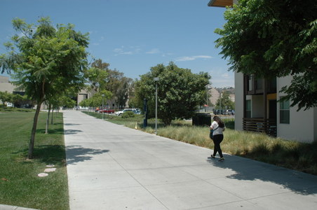 Enlarge photo 39