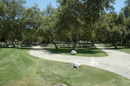 Enlarge photo 50