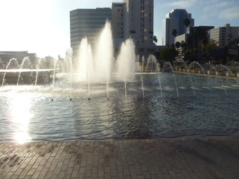 Enlarge photo 153