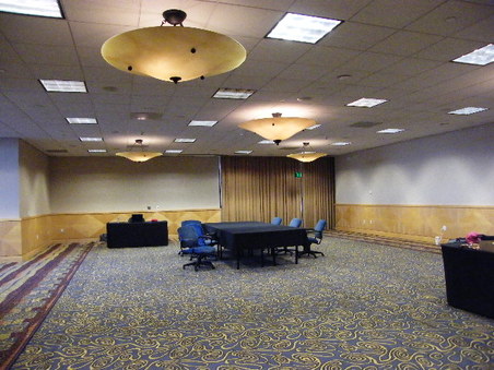 PACIFC PALMS - BOTTM FLOOR SMALL BALL