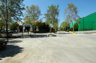 Enlarge photo 54