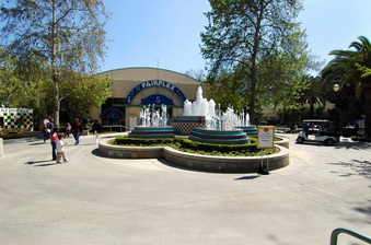 Enlarge photo 59