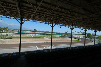 Enlarge photo 91