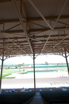 Enlarge photo 93