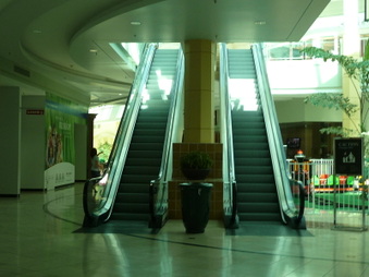 Enlarge photo 37
