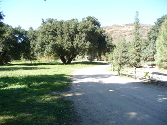 Disney Ranch