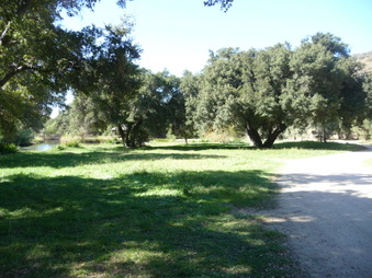 Enlarge photo 2