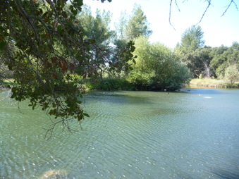 Enlarge photo 8