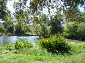 Enlarge photo 13