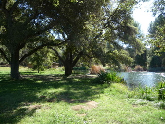 Enlarge photo 14