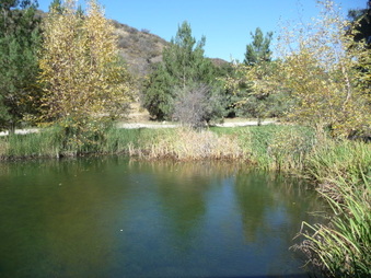 Enlarge photo 16
