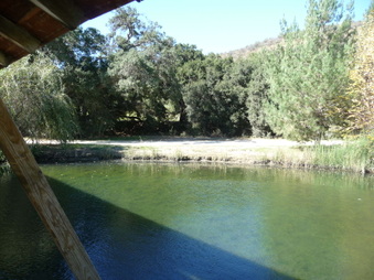 Enlarge photo 17