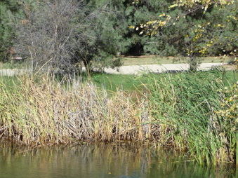 Enlarge photo 18