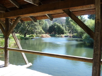 Enlarge photo 19