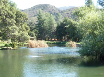 Enlarge photo 21