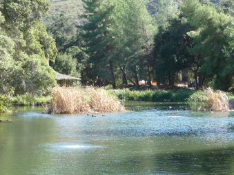 Enlarge photo 22