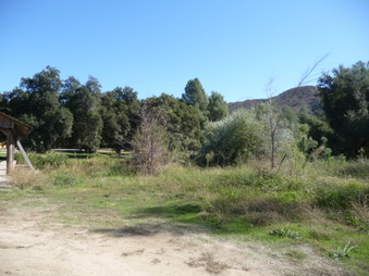 Enlarge photo 25