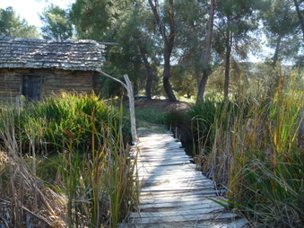 Enlarge photo 26