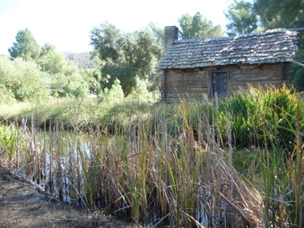 Enlarge photo 28