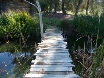 Enlarge photo 29