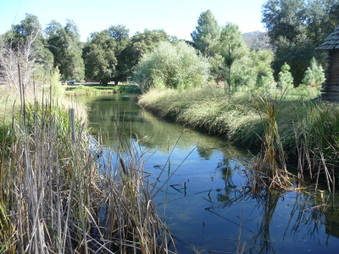 Enlarge photo 31